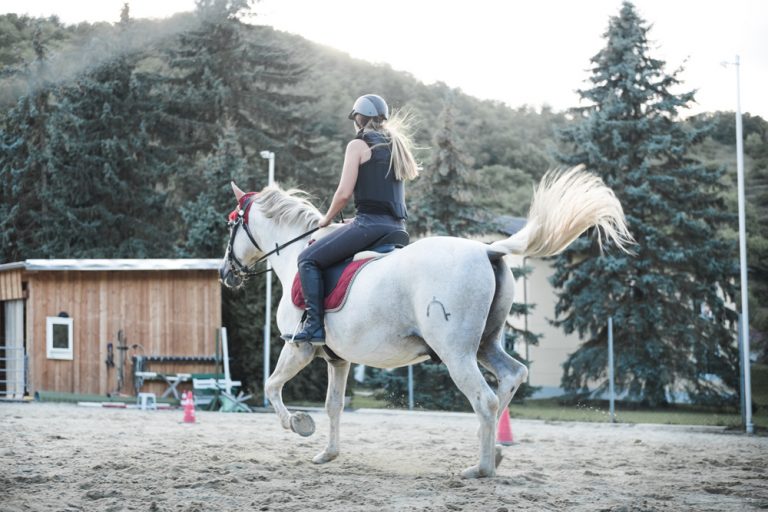 Re-Post: Das große Durcheinander im Reitsport