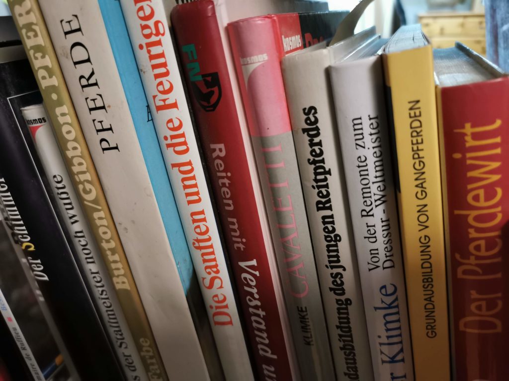 Ein Buch gibt das andere …