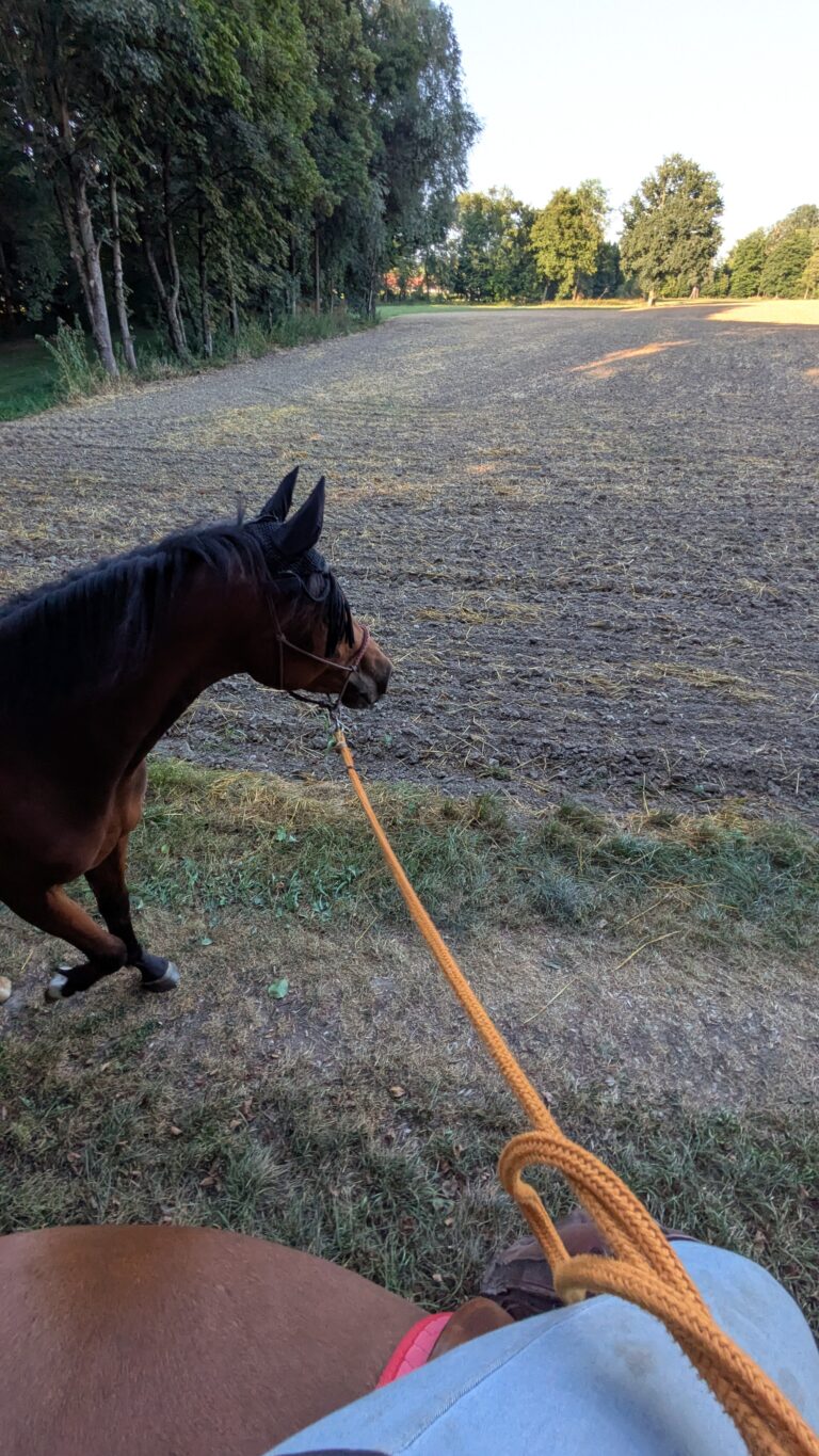 Handpferd