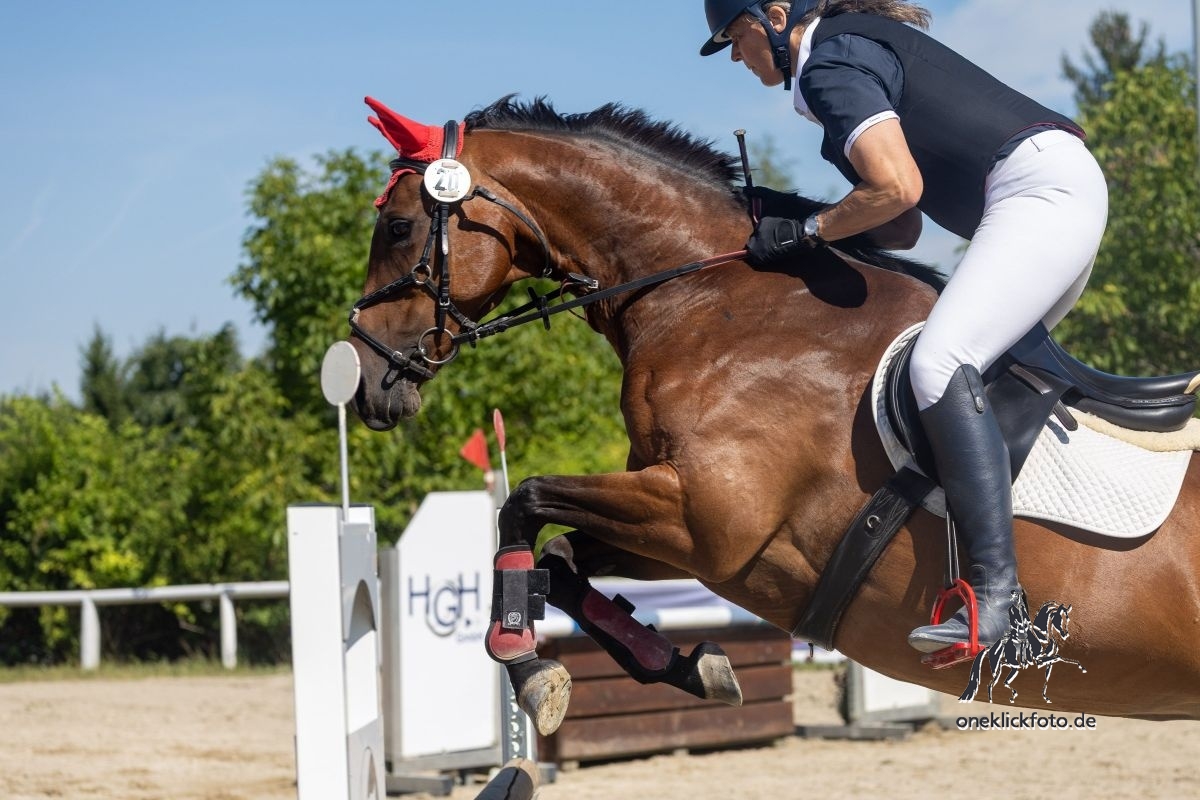 Pony, Springen mit Geländehindernissen, Markt Indersdorf, 2026