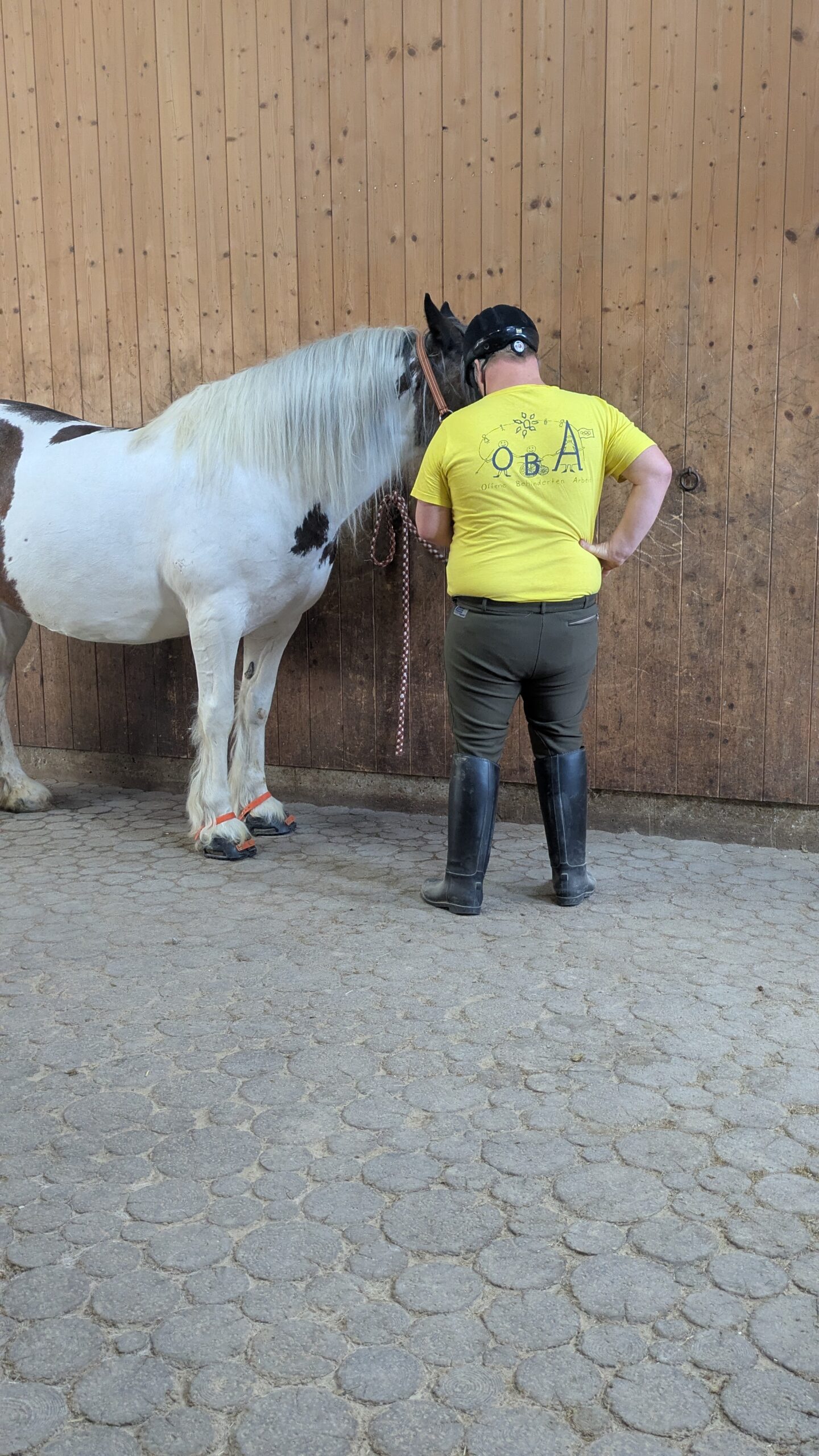 Reittherapie – Pferdesport mit Behinderung