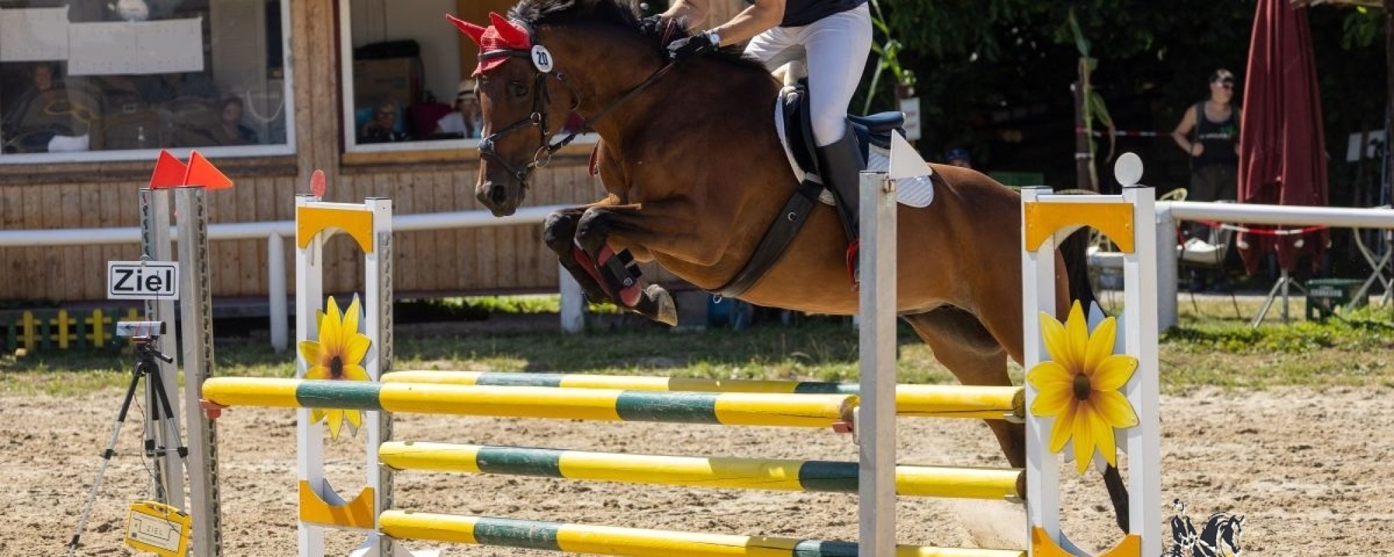 Pony, 95cm Springen, Markt Indersdorf, 2026
