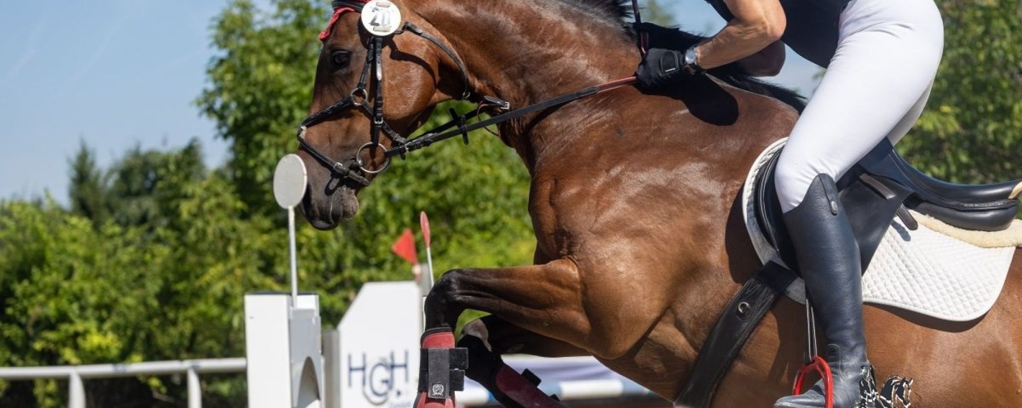 Pony, Springen mit Geländehindernissen, Markt Indersdorf, 2026